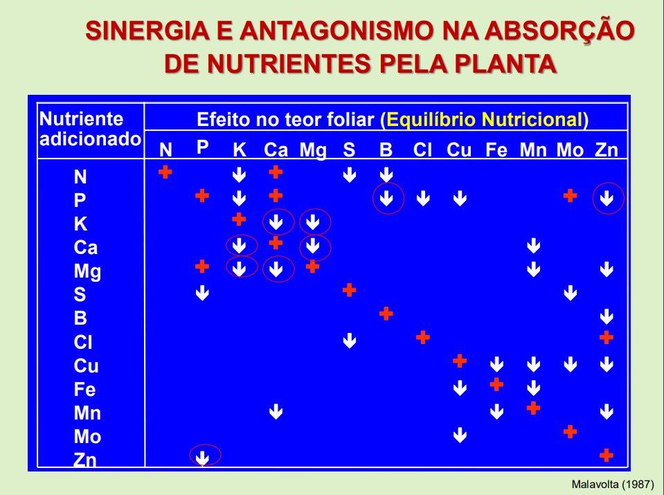 Sinergia e antagonismo na absorção de nutrientes pela planta. Autor: Malavolta, 1987.