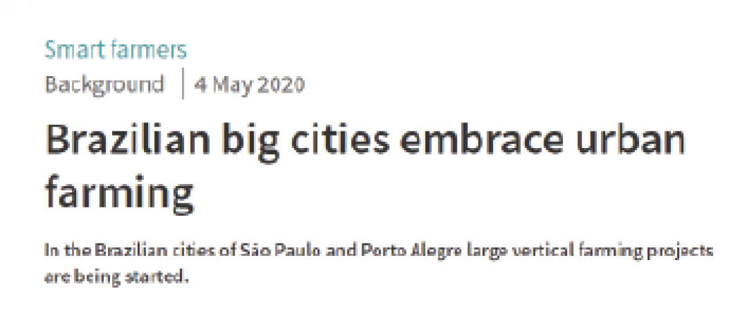 Grandes cidades brasileiras abraçam a agricultura vertical,