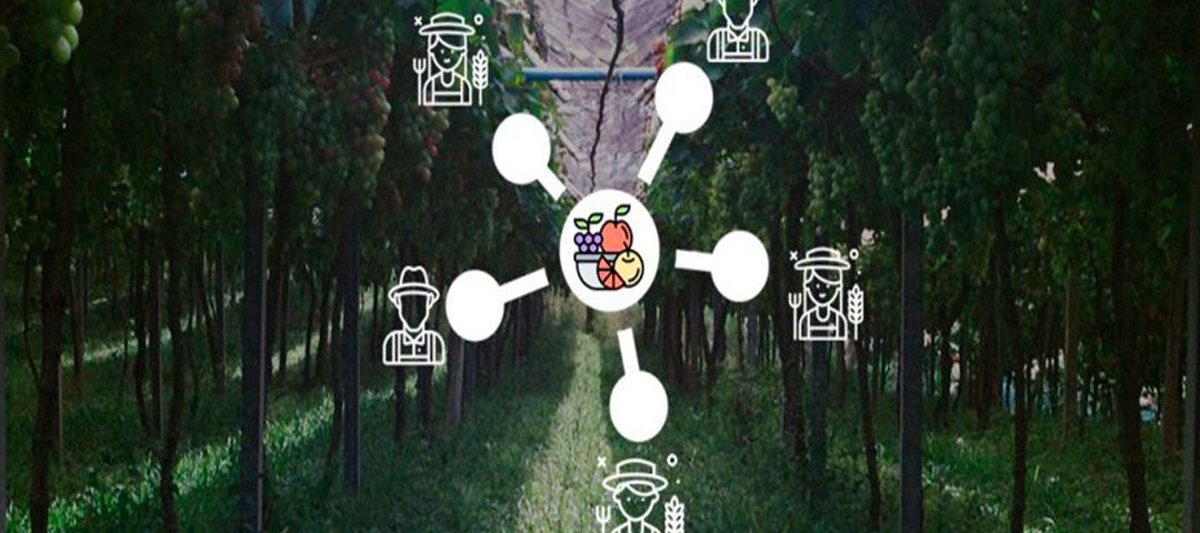 A-Importância-das-Cooperativas-Agrícolas-no-Futuro-do-Brasil-elysios